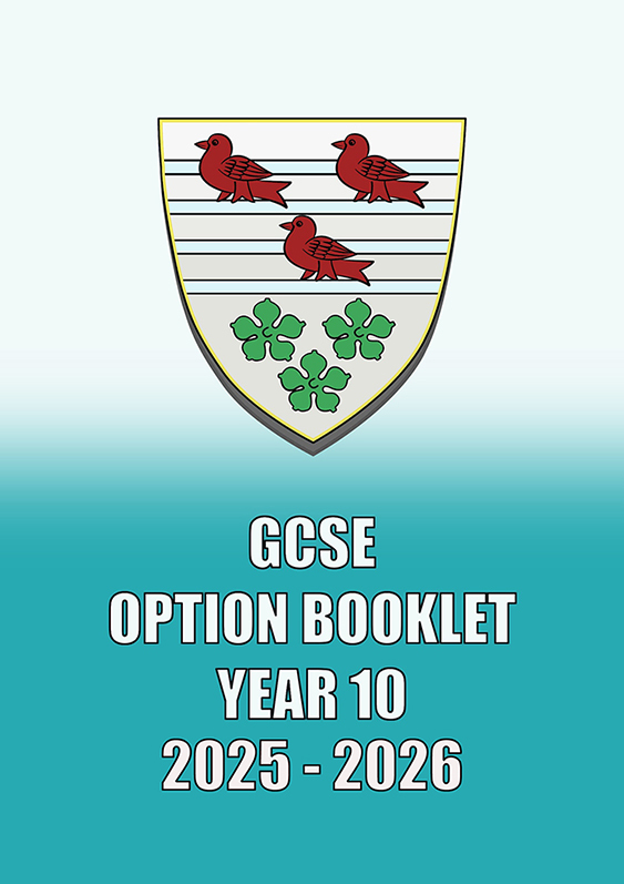 Gcse options thumbnail